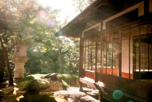 都市に森をつくる、日本が先導する「木造都市革命」