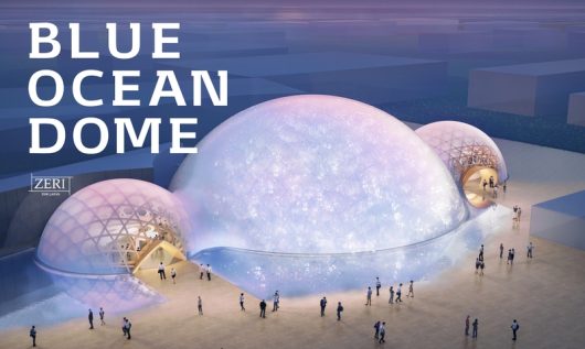 サラヤが支援するNPOゼリ・ジャパンは、2025年大阪・関西万博で「海の 蘇生」をテーマに出展する（提供：特定非営利活動法人ゼリ・ジャパン）