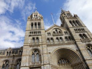 英国自然史博物館、生物多様性データを金融市場で利用可能に