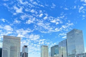 責任ある企業行動と人権・環境デューデリジェンス