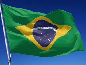 ブラジル連邦裁、アマゾン破壊に5000万ドル支払命じる